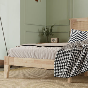 English Elm King Rubberwood Platform Bed with Woven Rattan Headboard for Coastal Boho Bedrooms W504P444380