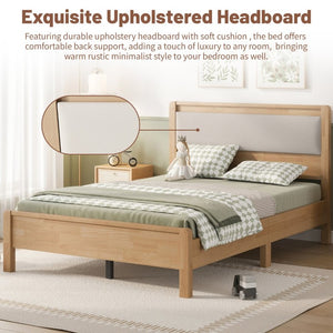 English Elm Twin XL Solid Rubberwood Bed with Upholstered Headboard and Reinforced Support Frame Full Natural W504P486751