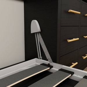 English Elm Multifunctional Queen Murphy Bed with Four Storage Cabinets for Modern Living Spaces Black W5290S00027