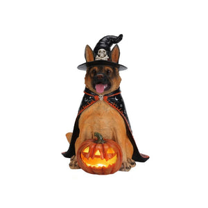 English Elm Halloween German Shepherd Witch Resin Statue with Glowing LED Pumpkin Porch Decor W5398P520245