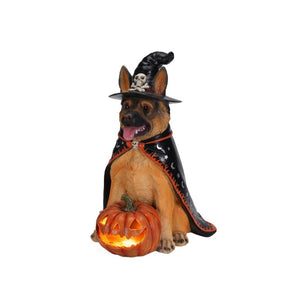 English Elm Halloween German Shepherd Witch Resin Statue with Glowing LED Pumpkin Porch Decor W5398P520245
