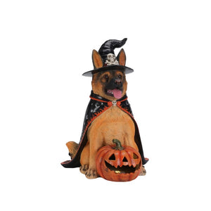 English Elm Halloween German Shepherd Witch Resin Statue with Glowing LED Pumpkin Porch Decor W5398P520245
