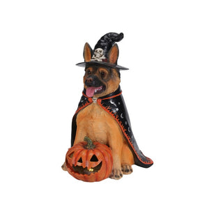 English Elm Halloween German Shepherd Witch Resin Statue with Glowing LED Pumpkin Porch Decor W5398P520245