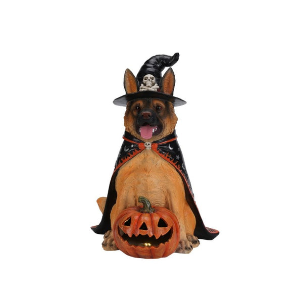 English Elm Halloween German Shepherd Witch Resin Statue with Glowing LED Pumpkin Porch Decor W5398P520245