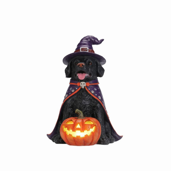 English Elm Halloween Black Lab Resin Dog Statue with Witch Hat and LED Pumpkin Glow Decor Yellow+Black W5398P520246