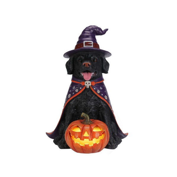 English Elm Halloween Black Lab Resin Dog Statue with Witch Hat and LED Pumpkin Glow Decor Yellow+Black W5398P520246