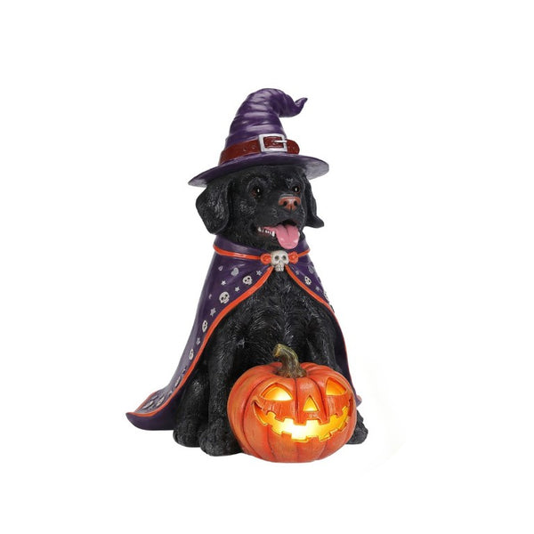 English Elm Halloween Black Lab Resin Dog Statue with Witch Hat and LED Pumpkin Glow Decor Yellow+Black W5398P520246