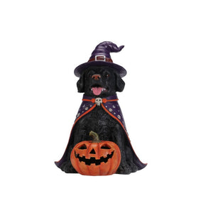 English Elm Halloween Black Lab Resin Dog Statue with Witch Hat and LED Pumpkin Glow Decor Yellow+Black W5398P520246