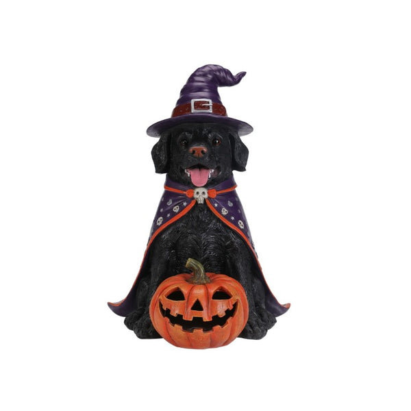 English Elm Halloween Black Lab Resin Dog Statue with Witch Hat and LED Pumpkin Glow Decor Yellow+Black W5398P520246