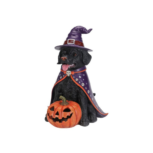 English Elm Halloween Black Lab Resin Dog Statue with Witch Hat and LED Pumpkin Glow Decor Yellow+Black W5398P520246