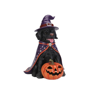 English Elm Halloween Black Lab Resin Dog Statue with Witch Hat and LED Pumpkin Glow Decor Yellow+Black W5398P520246