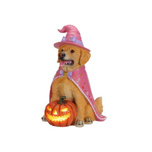 English Elm Halloween Black Lab Resin Dog Statue with Witch Hat and LED Pumpkin Glow Decor Brown+Yellow W5398P520247