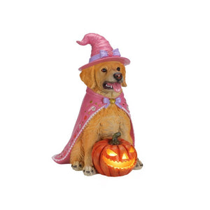 English Elm Halloween Black Lab Resin Dog Statue with Witch Hat and LED Pumpkin Glow Decor Brown+Yellow W5398P520247