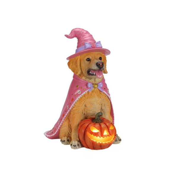 English Elm Halloween Black Lab Resin Dog Statue with Witch Hat and LED Pumpkin Glow Decor Brown+Yellow W5398P520247