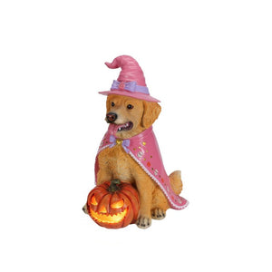 English Elm Halloween Black Lab Resin Dog Statue with Witch Hat and LED Pumpkin Glow Decor Brown+Yellow W5398P520247