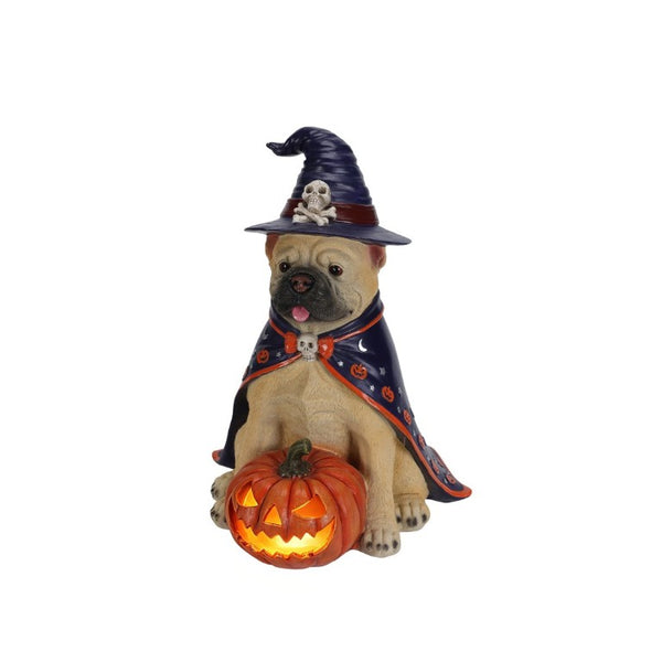 English Elm Halloween Bulldog Witch Sculpture with LED Pumpkin Glow for Porch or Entryway W5398P520248