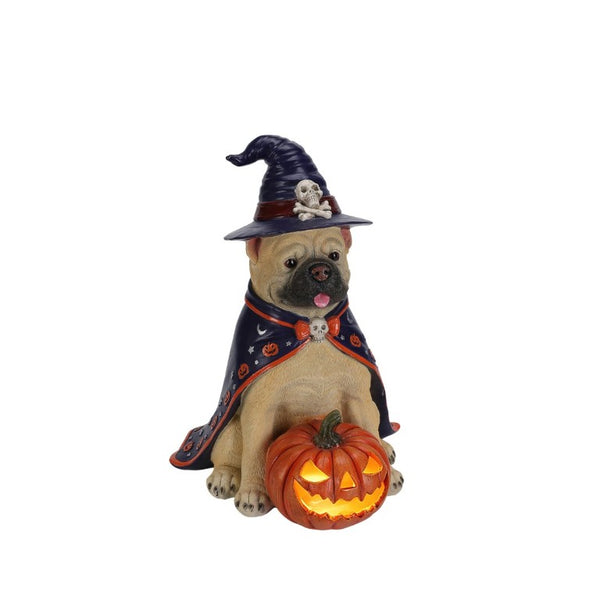 English Elm Halloween Bulldog Witch Sculpture with LED Pumpkin Glow for Porch or Entryway W5398P520248