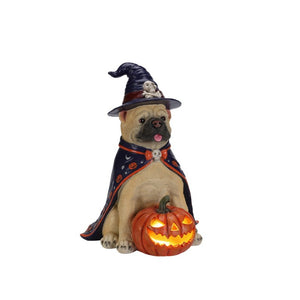 English Elm Halloween Bulldog Witch Sculpture with LED Pumpkin Glow for Porch or Entryway W5398P520248