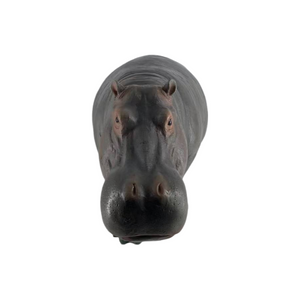 English Elm 12.6'' Resin Hippopotamus Sculpture Weatherproof Wildlife Garden Statue for Lawn Pond Patio W5709P511484