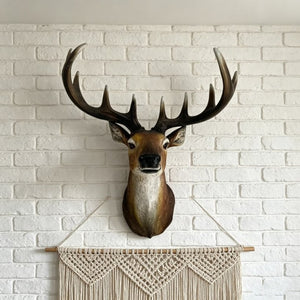 English Elm 14.57 Inch Resin Stag Head Wall Mount Rustic Sculpted Deer Bust for Lodge or Cabin W5709P511492