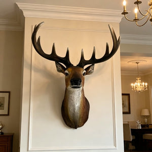 English Elm 14.57 Inch Resin Stag Head Wall Mount Rustic Sculpted Deer Bust for Lodge or Cabin W5709P511492