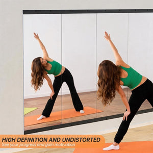 English Elm Home Gym Full Length Tempered Glass Wall Mirror Set Two Panel Frameless Workout W5765P515802