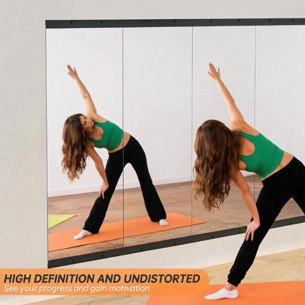 English Elm Home Gym Full Length Tempered Glass Wall Mirror Set Two Panel Frameless Workout W5765P515802