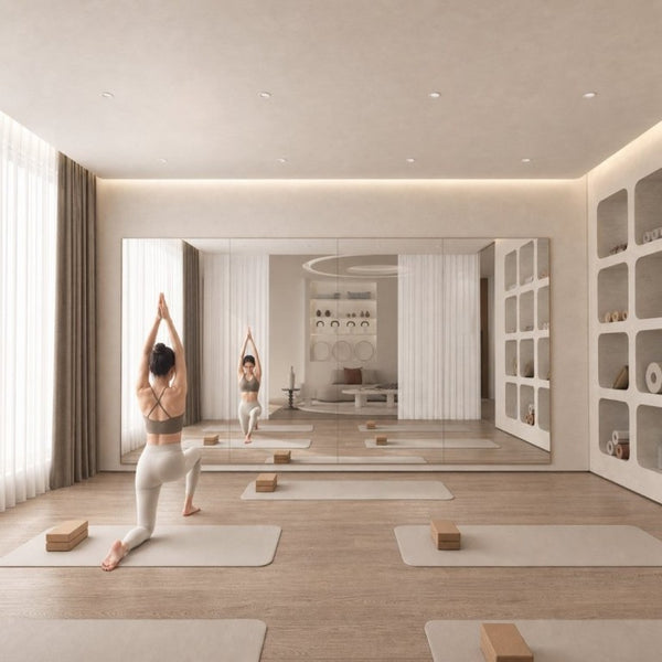 English Elm Home Gym Frameless Full Length Wall Mirror Tempered Glass for Yoga and Dance Studio W5765P515803