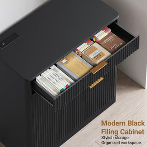 English Elm Freestanding File Cabinet with Charging Station Fluted Design and Adjustable Shelving Black W5767P504628