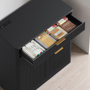 English Elm Freestanding File Cabinet with Charging Station Fluted Design and Adjustable Shelving Black W5767P504628