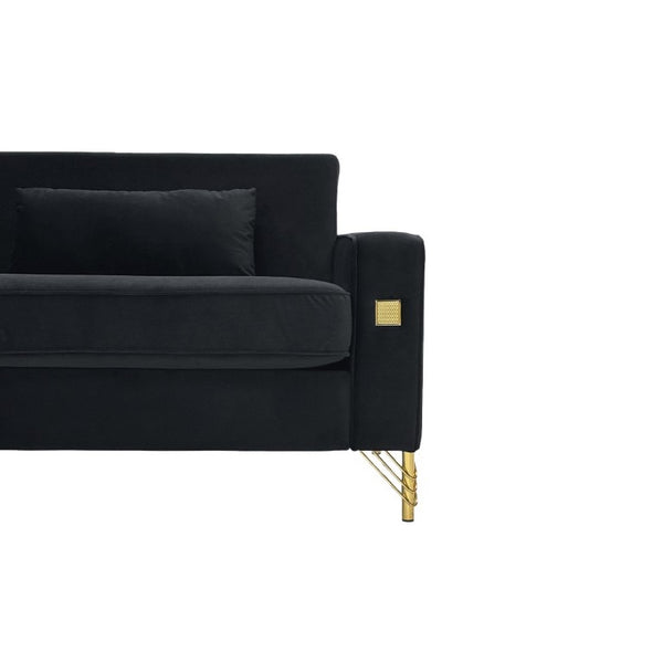 English Elm Fx-P18-Or-2Pcs Velvet Two Piece Sofa Set with Gold Legs for Mid-Century Living Rooms Black W576S00286