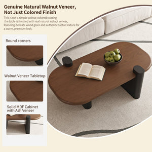 English Elm 47.24 Oval Walnut Veneer Coffee Table with Ash Base for Modern Living Rooms Brown+Black MDF W6002P582705