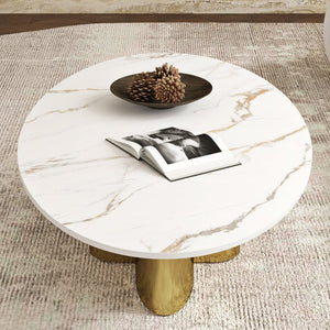 English Elm 47.24 Oval Walnut Veneer Coffee Table with Ash Base for Modern Living Rooms Gold+White Sintered Stone, Stainless Steel W6002S00018