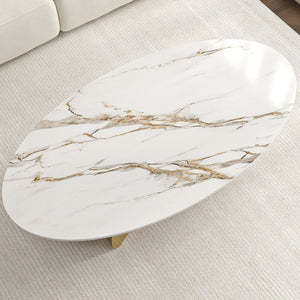 English Elm 49.21×26.77 Oval Sintered Stone Coffee Table Brushed Gold Wave Base Modern Luxe Curved Wave Base W6002S00025