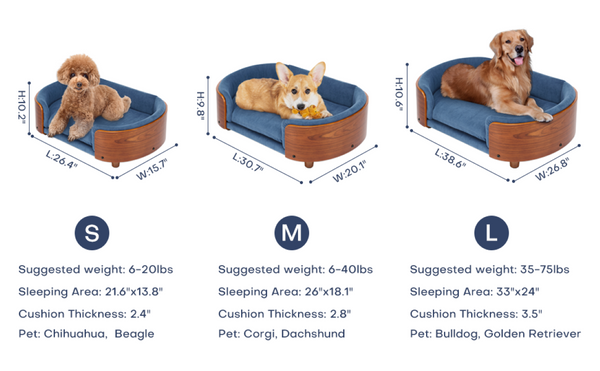 English Elm Scandinavian Elevated Pet Sofa with Velvet Cushion Solid Wood Legs Walnut Bent Frame W794125953