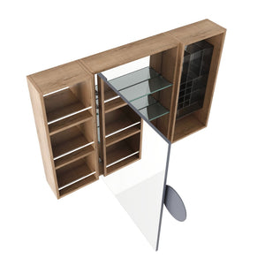 English Elm 41.4 Inch Wall Mounted Mirror Cabinet with Adjustable Shelves and Jewelry Organizer W999S00546