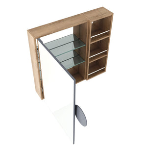 English Elm 29.63 Inch Wall Mounted Bathroom Mirror Cabinet with Adjustable Shelves and Jewelry Storage W999S00554