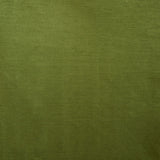 Safavieh Rosedale Window Treatment/Green Green 60%Cotton+40%Viscose Velvet,Tab Top WDT1062C-5284