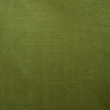 Safavieh Rosedale Window Treatment/Green XII23 Green 60%Cotton+40%Viscose Velvet,Tab Top WDT1062C-5296