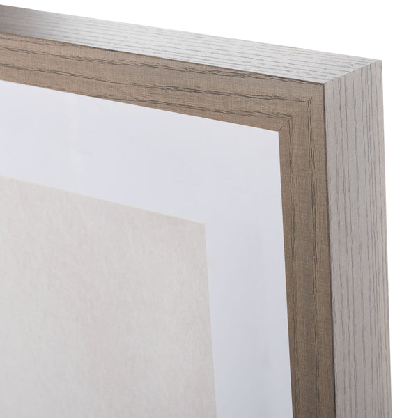 Safavieh Fresh Cut Flora, 24 X 36, Ivory/Black, Framed Wall Art XII23 Ivory / Black Mdf/Iron WLA3011A