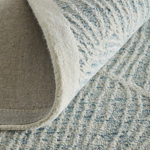 Feizy Rugs Winston Hand Tufted Wool Floral Area Rug Sculpted Botanical Pile for Living Rooms WNS8B02FBLUIVYE10