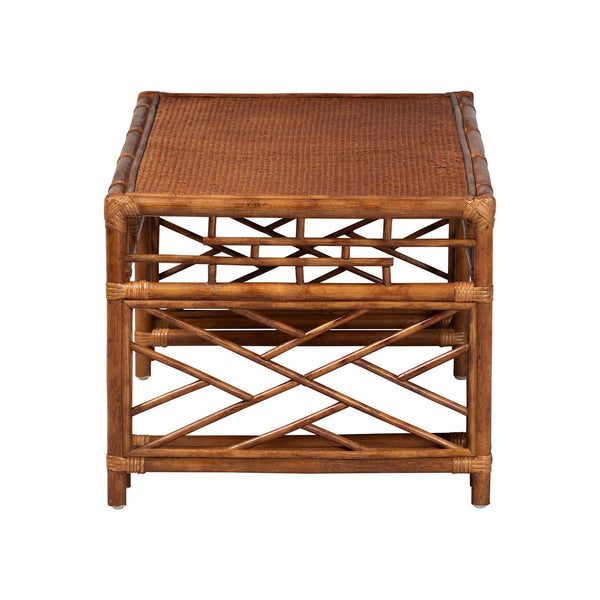 Bali & Pari Wahid Handcrafted Natural Rattan Coffee Table with Woven Tortoise Finish