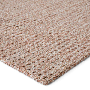 Jaipur Living Jaipur Living Jardin Handwoven Polyester Indoor Outdoor Rug for Patio or Room Tan 5'X8' RUG145805