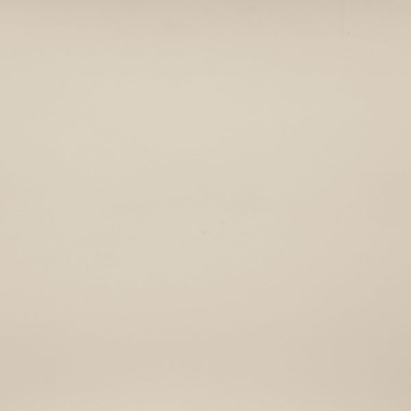 Meridian Furniture Warby Queen Platform Bed Winged Headboard Vegan Leather Upholstered Modern Bedroom Frame Beige WarbyBeige-Q
