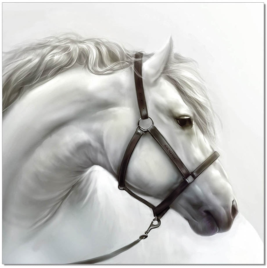 Wall Art White Horse - Stunning Acrylic Print for Home Decor, Unique Conversation Starter Piece