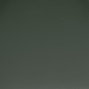 English Elm Wright Commercial Dining Chair - Durable Steel Frame, Comfortable Vinyl Seat, Modern Boomerang Design Walnut Wood Back/Green Vinyl Seat XU-DG6V5GNV-WAL-GG