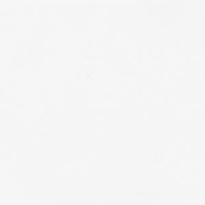 English Elm Timmy 2 Pack Kids Folding Chairs for Preschoolers – Lightweight, Durable, Easy to Store & Transport White 2-Y-KID-WH-GG