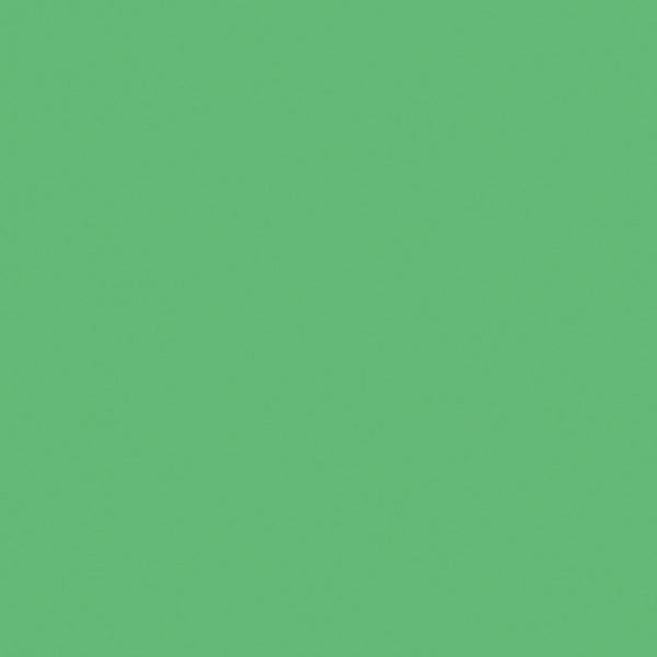 English Elm Emmy Adjustable Activity Table Set for Kids with 2 Chairs - Safe, Durable, and Easy to Clean Green 33" Round YU-YCX-0073-2-ROUND-TBL-GREEN-R-GG