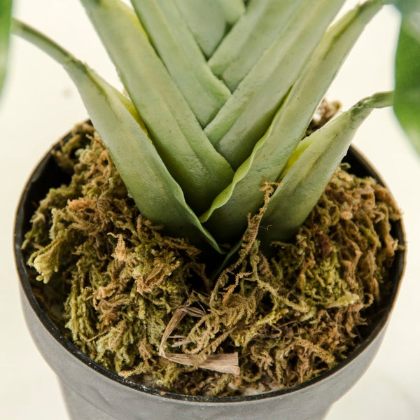 Zentique Faux realistic floor plant with wood accent base — low-maintenance, fade-resistant greenery décor W23.5 x H38 x D23.5 ZEN-180503-10