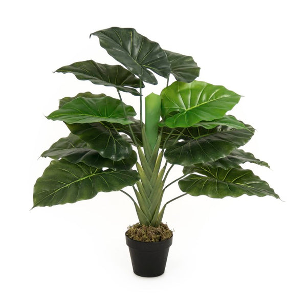Zentique Faux realistic floor plant with wood accent base — low-maintenance, fade-resistant greenery décor W23.5 x H38 x D23.5 ZEN-180503-10